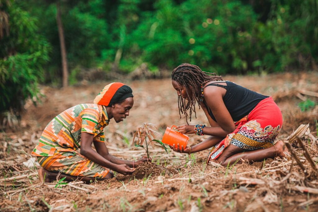Two women planting seedlings together